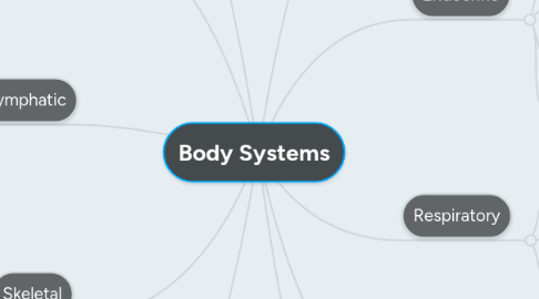 Mind Map: Body Systems