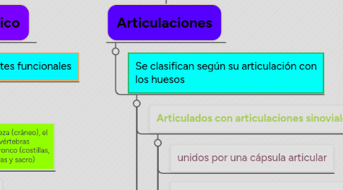 Mind Map: Anatomía Generalidades