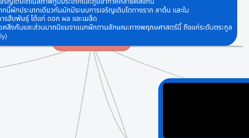 Mind Map: การจาแนกประเภทของผัก