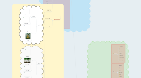 Mind Map: ประเภทของผัก