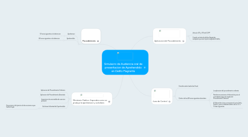 Mind Map: Simulacro de Audiencia oral de presentacion de Aprehendido en Delito Flagrante