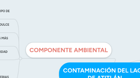 Mind Map: CONTAMINACIÓN DEL LAGO DE ATITLÁN