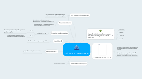 Mind Map: Sist. nervioso autónomo.