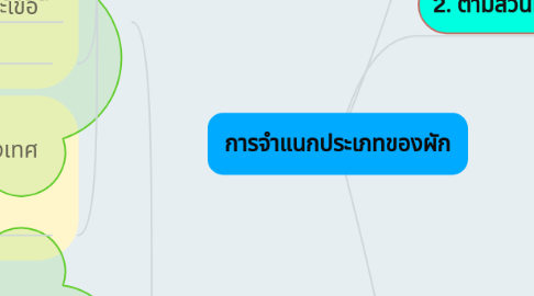 Mind Map: การจำแนกประเภทของผัก