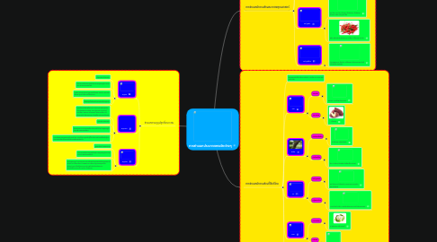 Mind Map: การจำแนกประเภทของผักต่างๆ