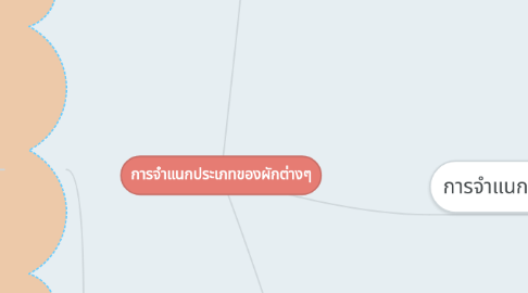 Mind Map: การจำแนกประเภทของผักต่างๆ