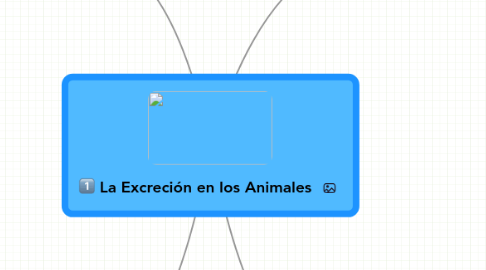 Mind Map: La Excreción en los Animales