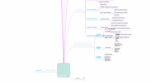 Mind Map: OSTEOLOGIA