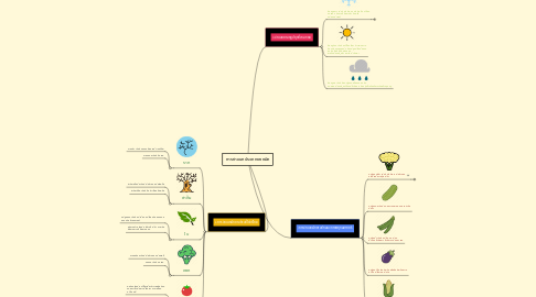Mind Map: การจำแนกประเภทของผัก