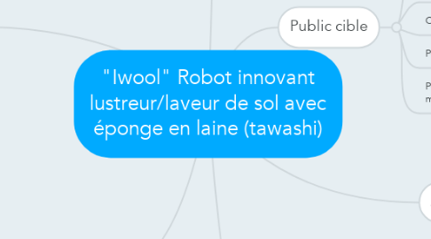 Mind Map: "Iwool" Robot innovant lustreur/laveur de sol avec éponge en laine (tawashi)