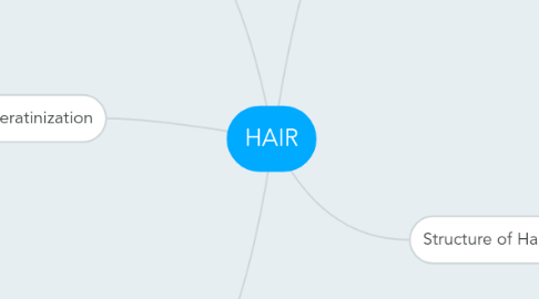 Mind Map: HAIR