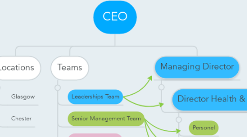 Mind Map: CEO