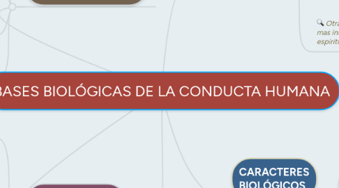 Mind Map: BASES BIOLÓGICAS DE LA CONDUCTA HUMANA