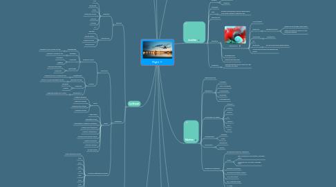 Mind Map: Flight