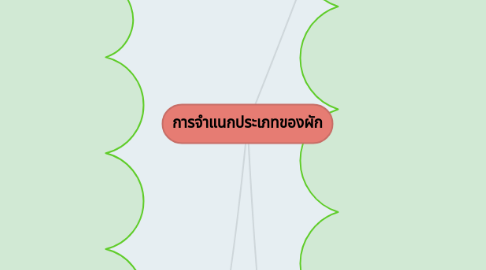 Mind Map: การจำแนกประเภทของผัก