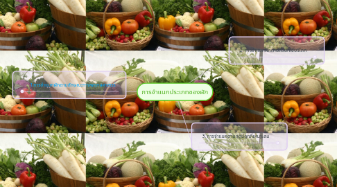 Mind Map: การจำแนกประเภทของผัก