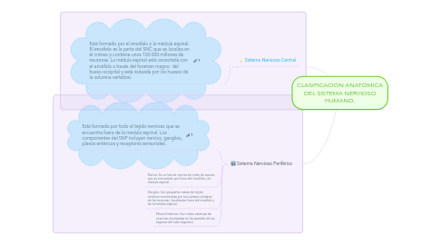 Mind Map: CLASIFICACIÓN ANATÓMICA DEL SISTEMA NERVIOSO HUMANO.