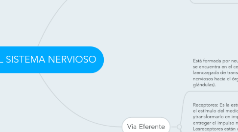 Mind Map: VÍAS DEL SISTEMA NERVIOSO