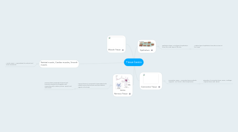 Mind Map: Tissue basics