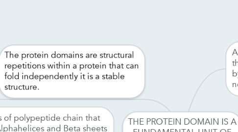 Mind Map: THE PROTEIN DOMAIN IS A FUNDAMENTAL UNIT OF ORGANIZATION