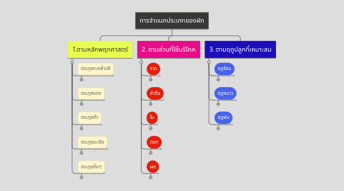 Mind Map: การจำแนกประเภทของผัก