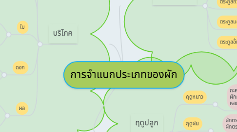 Mind Map: การจำแนกประเภทของผัก