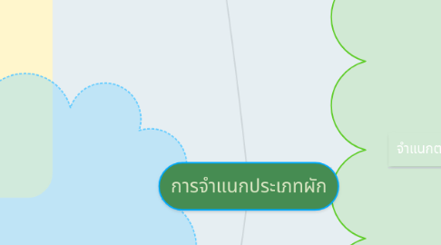 Mind Map: การจำแนกประเภทผัก
