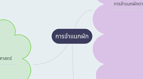 Mind Map: การจำแนกผัก