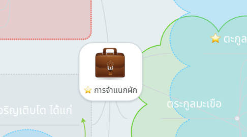 Mind Map: การจำแนกผัก