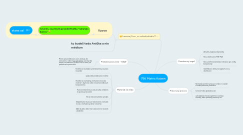 Mind Map: 796 Matrix Kaizen