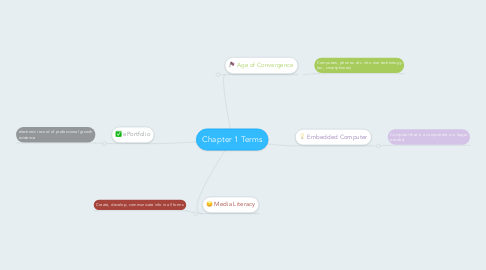 Mind Map: Chapter 1 Terms