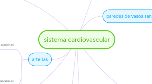 Mind Map: sistema cardiovascular