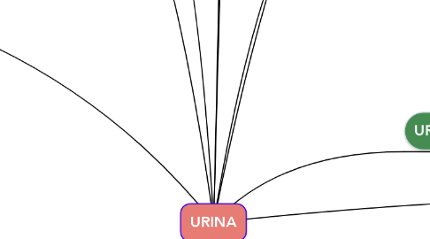 Mind Map: URINA