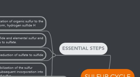 Mind Map: SULFUR CYCLE