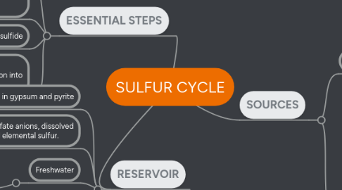 Mind Map: SULFUR CYCLE