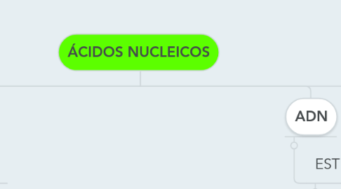 Mind Map: ÁCIDOS NUCLEICOS