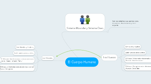 Mind Map: El Cuerpo Humano