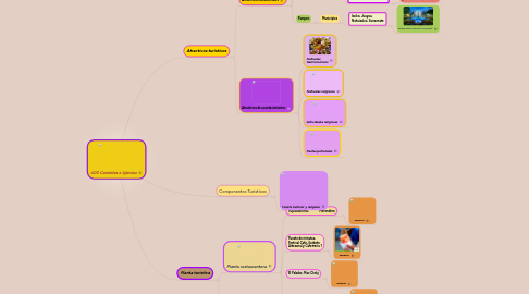 Mind Map: 400 Candelas e Iglesias