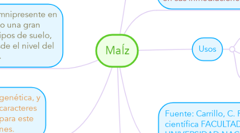 Mind Map: MaÍz