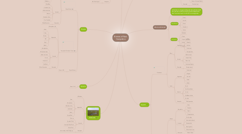 Mind Map: Biomes of New Hampshire