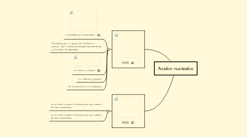 Mind Map: Ácidos nucleídos