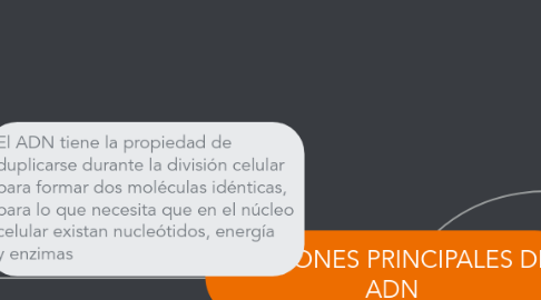Mind Map: FUNCIONES PRINCIPALES DEL ADN