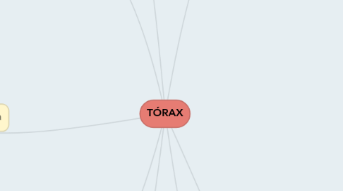 Mind Map: TÓRAX