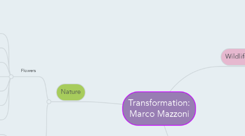 Mind Map: Transformation: Marco Mazzoni