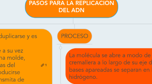 Mind Map: PASOS PARA LA REPLICACION DEL ADN