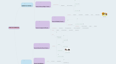 Mind Map: DIRECTOR GERENCIAL