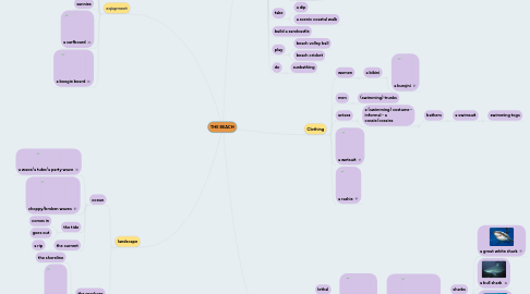 Mind Map: THE BEACH