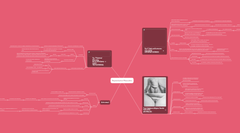 Mind Map: Reproductor Masculino