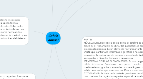 Mind Map: Celula animal