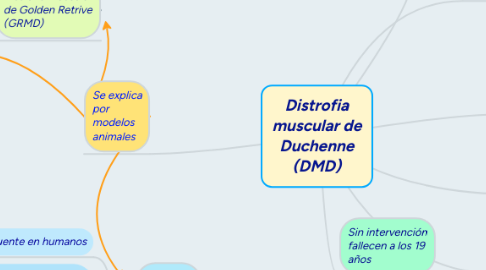 Mind Map: Distrofia muscular de Duchenne (DMD)